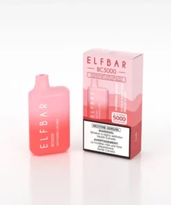 ElfBar BC5000