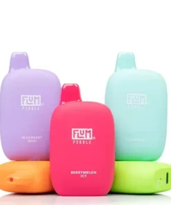 Flum Pebble Vape 6000 Puffs Recargable con Nicotina
